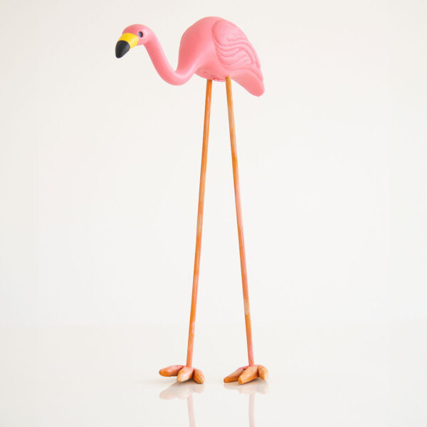 Flamingo - AceIC12