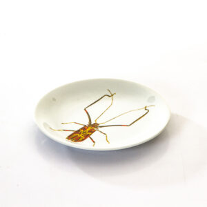 Prato Inseto - Pra943