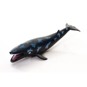 Baleia Azul - Bal1031