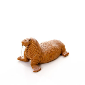 Leão Marinho - Mor1039