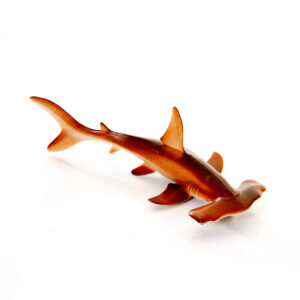 Tubarão Martelo  - Tub1047