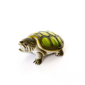 Tartaruga Verde  - Tar1052